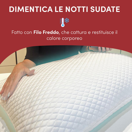 Caratteristiche Artico
