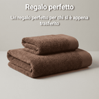 Pair of Mercerized Terry Towels