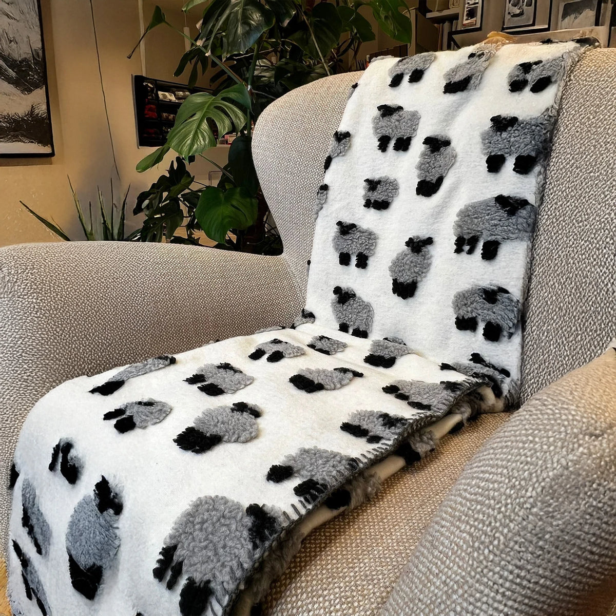 Plaid in Lana Cotta Made in Italy 170x180 – Caldo, Asciutto & Traspirante Pecore Bianco | ArredoCasa Online tutto il tessile per la tua casa.