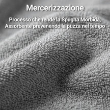 Coppia di Asciugamani in Spugna Mercerizzata