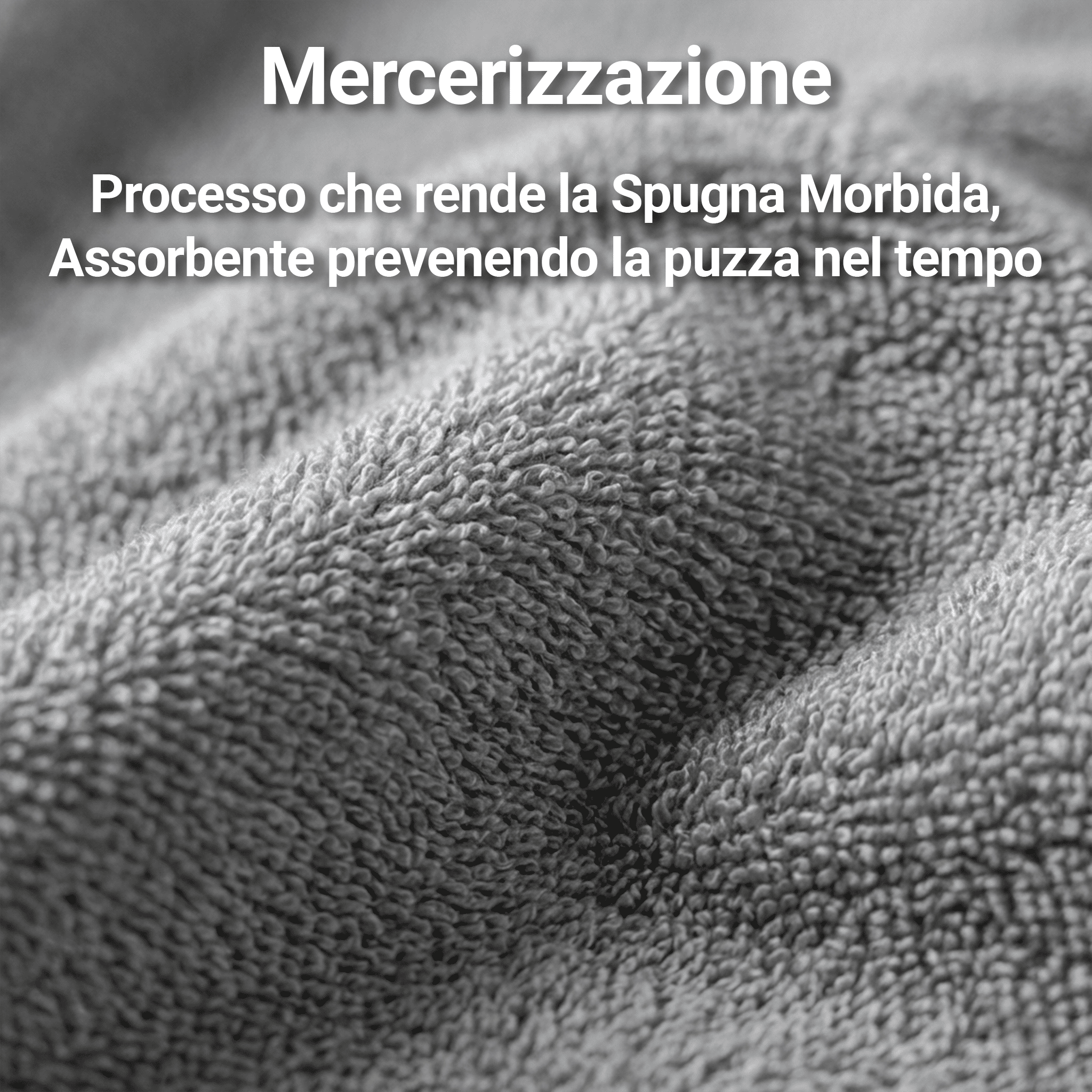 Coppia di Asciugamani in Spugna Mercerizzata